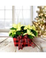 Holiday Floral Centerpiece, Christmas gift baskets, floral gift baskets
