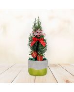 Mini Christmas Tree, floral gift baskets, Christmas gift baskets, plant gift baskets
