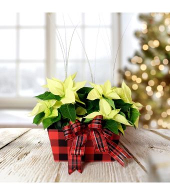 Holiday Floral Centerpiece, Christmas gift baskets, floral gift baskets
