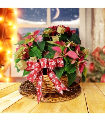 Christmas Cheer Bouquet, Christmas gift baskets, floral gift baskets
