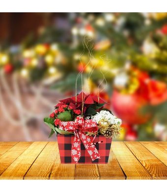 Holiday Flower Box, floral gift baskets, plant gift baskets